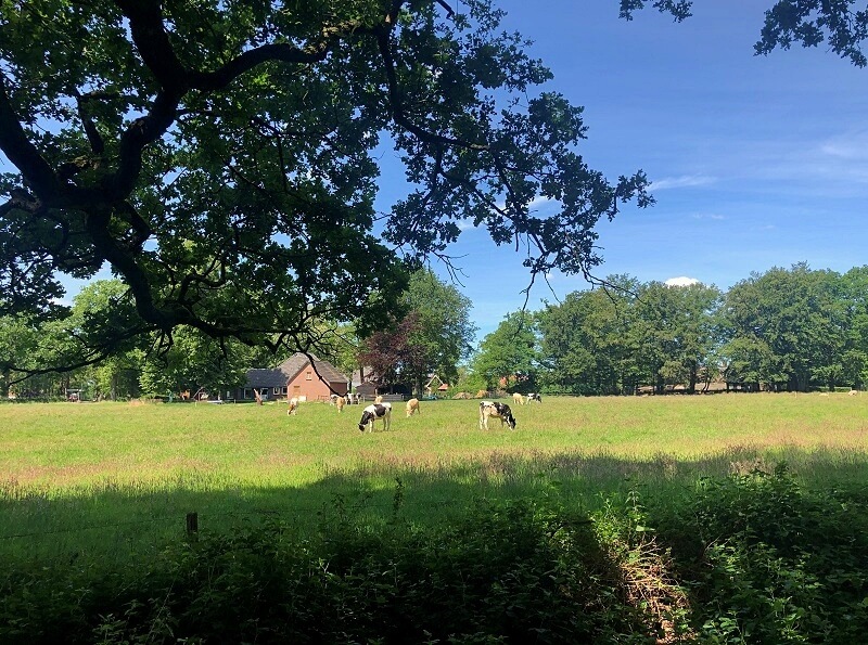 wandelen in Echten en Ruinen